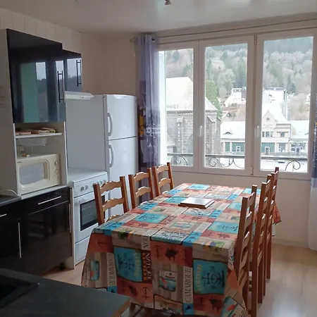 Dore/sancy 6 Personnes Emplacement Privilegie Apartament Mont-Dore