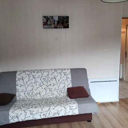 Dore/sancy 6 Personnes Emplacement Privilegie *