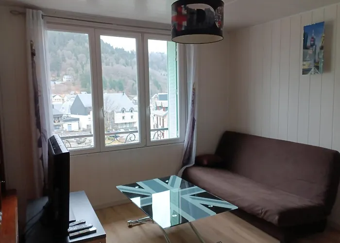 Dore/sancy 6 Personnes Emplacement Privilegie Apartment