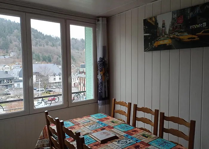 Dore/sancy 6 Personnes Emplacement Privilegie Appartement