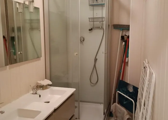 Dore/sancy 6 Personnes Emplacement Privilegie Appartement