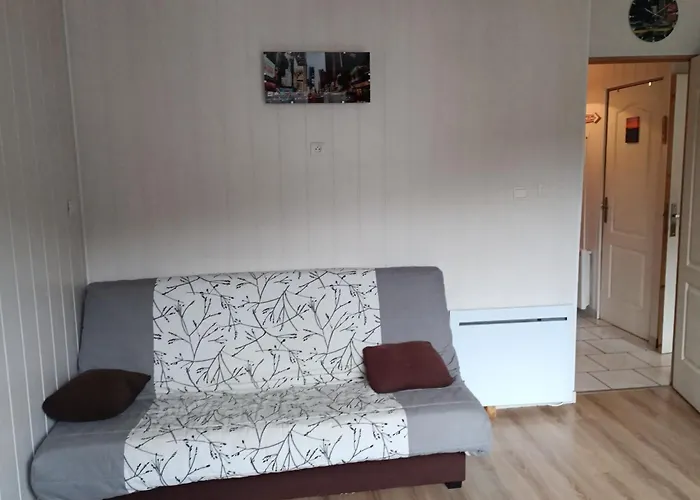 Dore/sancy 6 Personnes Emplacement Privilegie *